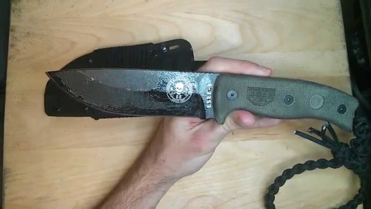 Esee 5 Review (Quebec French)