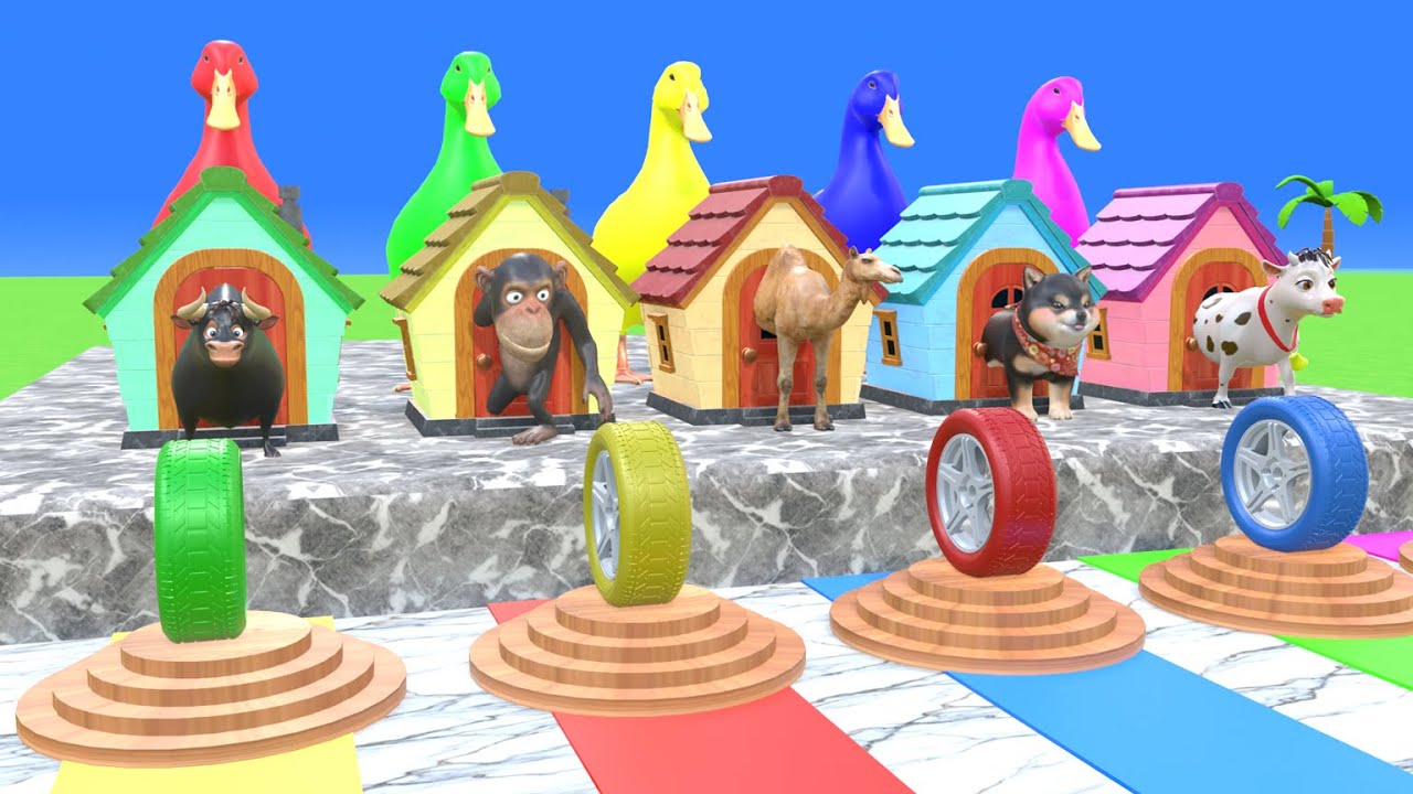Long Slide Game With Cow Elephant Gorilla Hippopotamus Tiger - 3d Animal Game - Funny 3d Animals