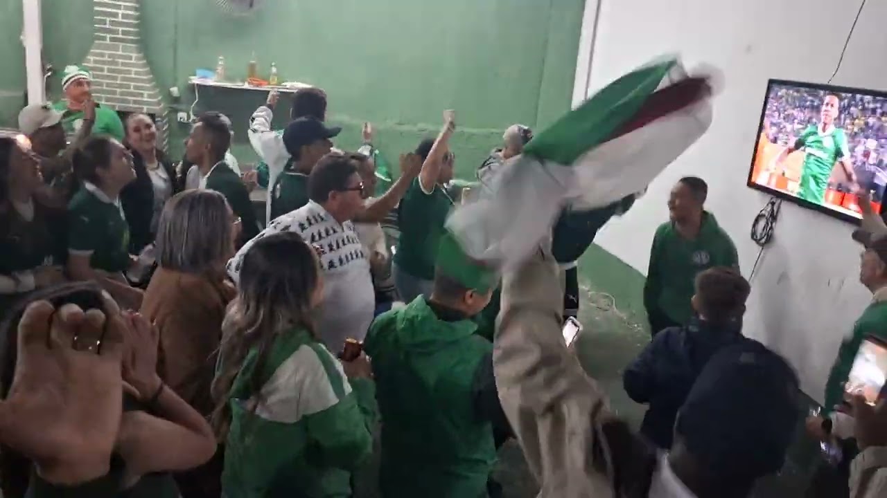 MUNDIAL DE CLUBES: Palmeiras 1x2 Chelser. Comemorando Gol do Estevão. TE AMO PALMEIRAS!