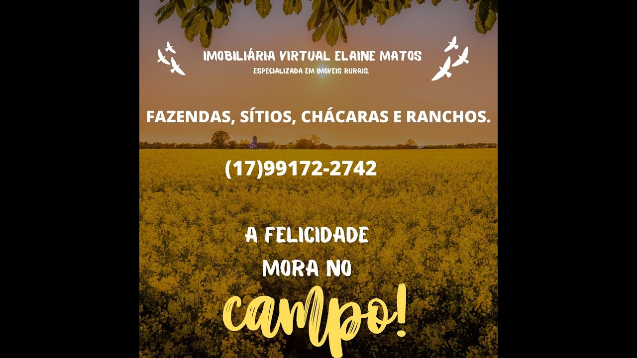 VARIADOS SITIOS NO MAPA VENDE-SE, 18 ALQ. 40 ALQ. 8 ALQ. 2 ALQ. POTIRENDABA-SEBASTIANOPOLIS-AMERICO