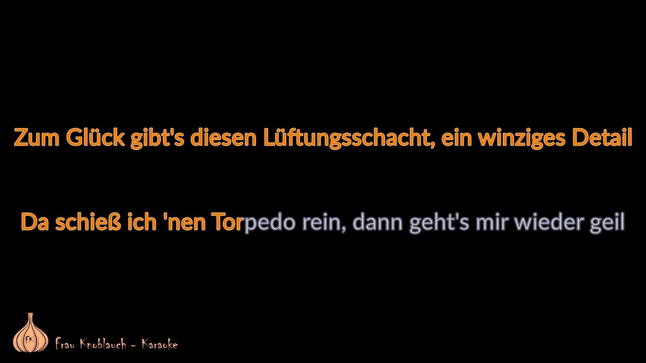Saltatio Mortis - Seit dem du weg bist (Karaoke)