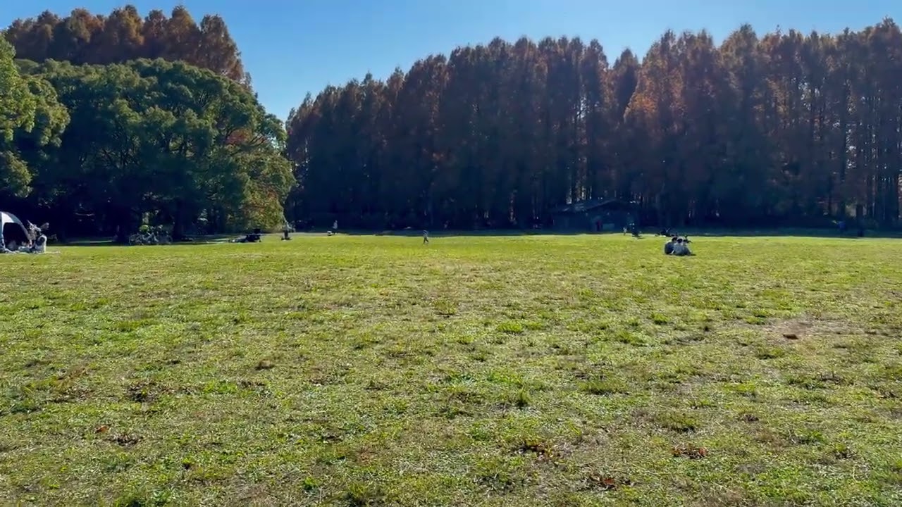 Mizumoto Park （autumn）