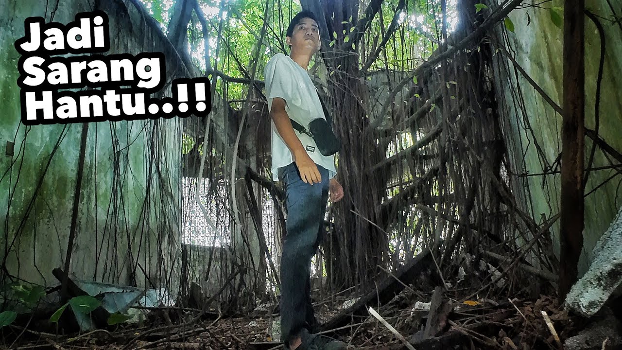 ASTAGHFIRULLAH!, RUMAH INI DIABAIKAN HINGGA TINGKAT ATASNYA SUDAH JADI SARANG HANTU! 
