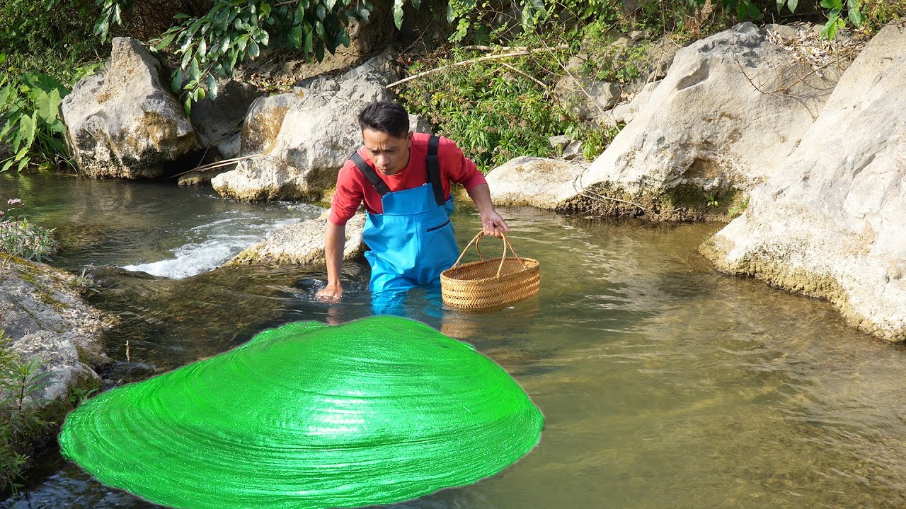 Wow! Surprise riverside trip, girl accidentally gets giant clam, pearl shines to witness miracle