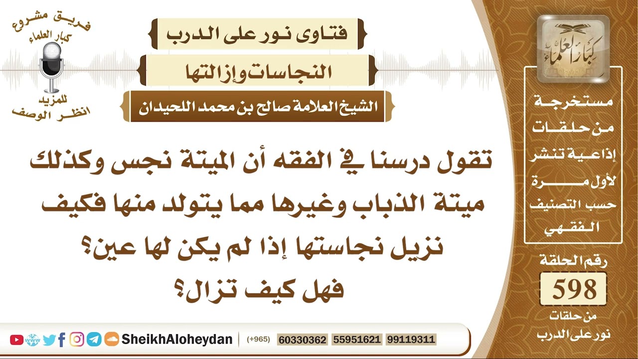 7380 - درسنا في الفقه أن الميتة نجس وكذلك ميتة الذباب وغيرها مما يتولد منها فكيف نزيل نجاستها ؟