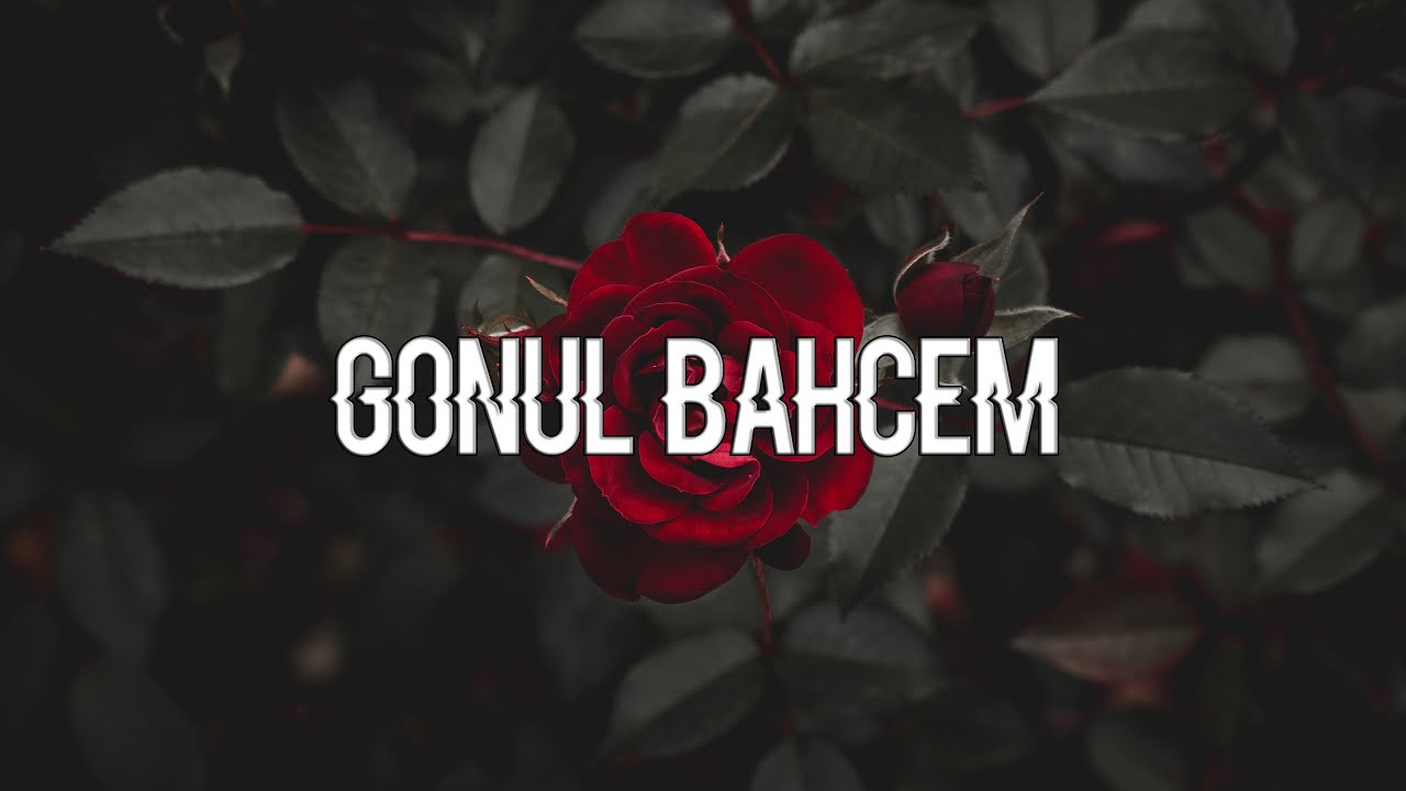 Ezgi Cayir & R&uuml;zgar - G&ouml;n&uuml;l Bahcem / 2017 (Tolga G&uuml;venc Beat)