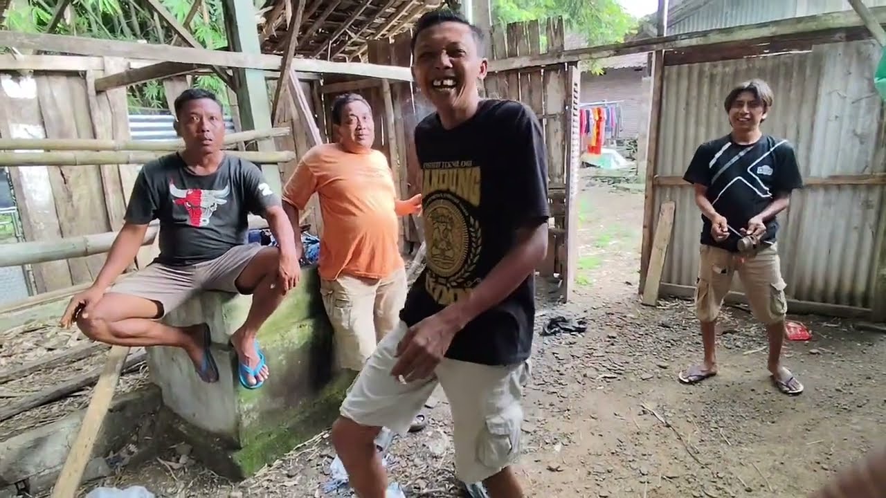 KONDISI KANDANG E SODIK ‼️ KETOK E SODIK ORA COCOK NGINGGU PITEK 😂