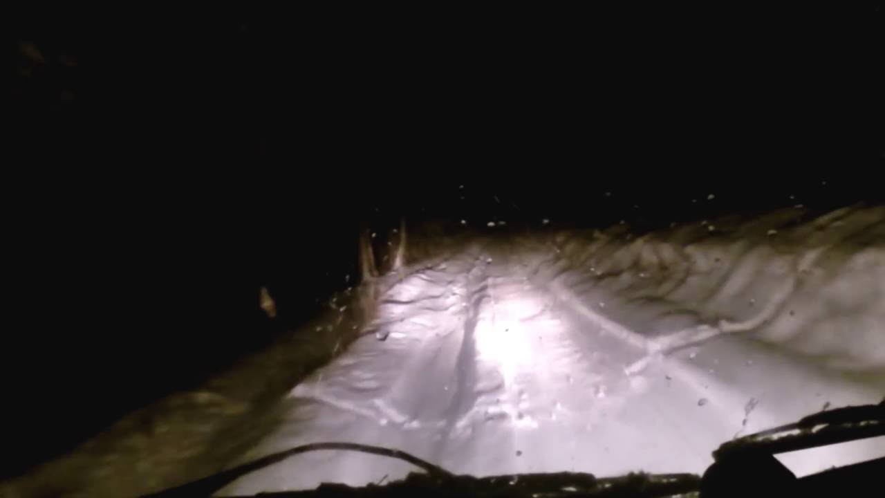 Yeti in Russia? Thoughts?