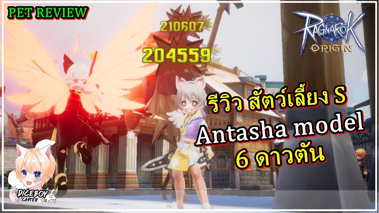 ⭐RAGNAROK ORIGIN | รีวิวสัตว์เลี้ยง Antasha 6 ดาวตัน ตัวท้อปสาย DPS