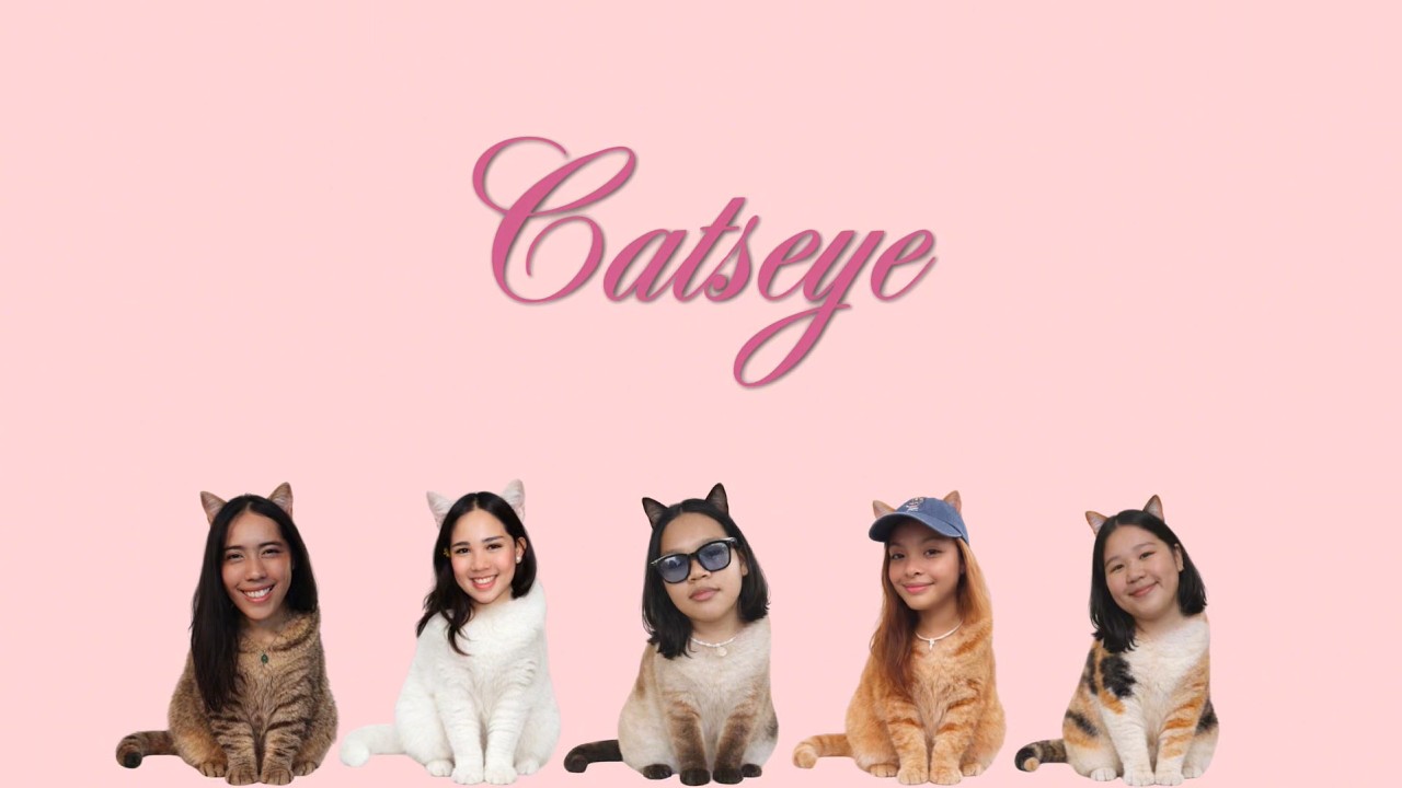 Catseye Consulting Group