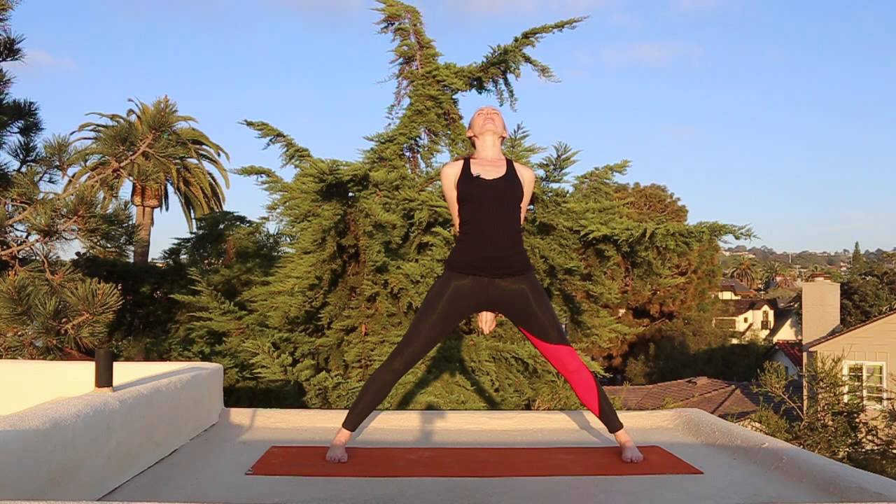 5 Minute Yoga Routine | Yoga for All Levels | Yoga for On-the-Go