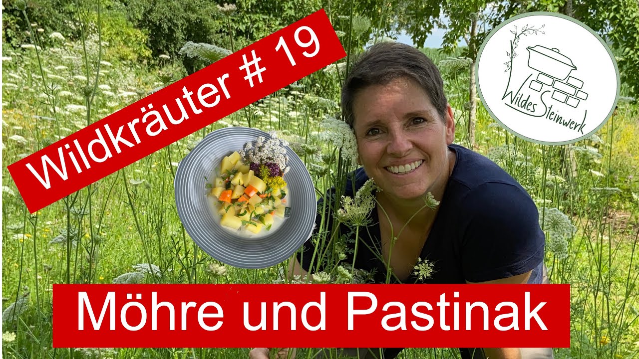 Wilde Möhre und Pastinake! Suppe kochen mit den Doldenblütlern! | Sandy's wildes Steinwerk 🌿