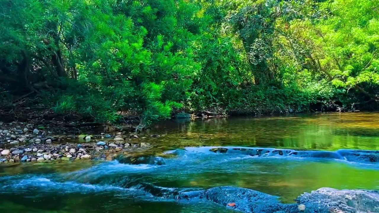 Beautiful Piano, River Waterfall & Birds Sound For Stress Relief, Calm And Deep Sleep #30