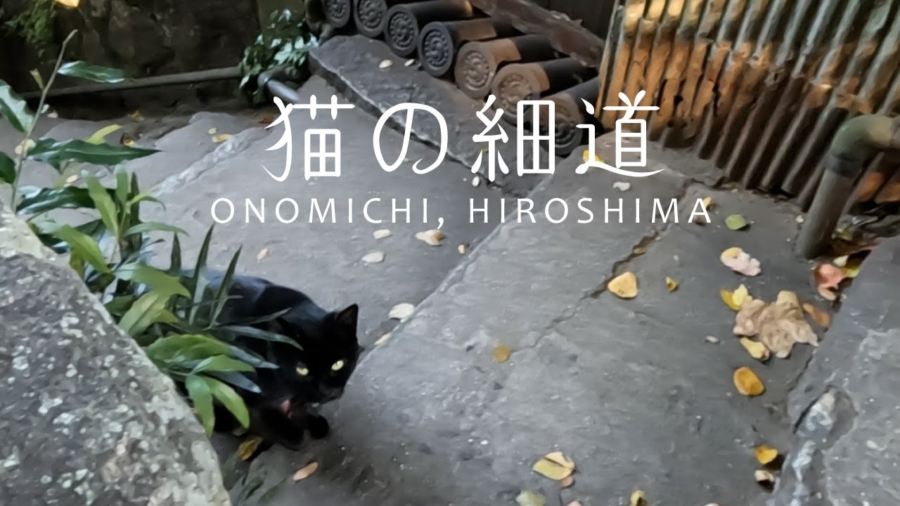 【広島】尾道：千光寺・ロープウェイ・猫の細道