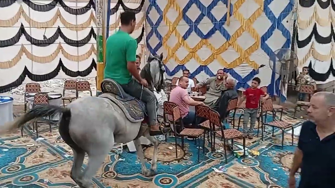 الان من من قرية طنيخ من مليونية اولاد ابو موسى # فرحة موسى إسماعيل الف مليون مبروك للعروسين 💝 