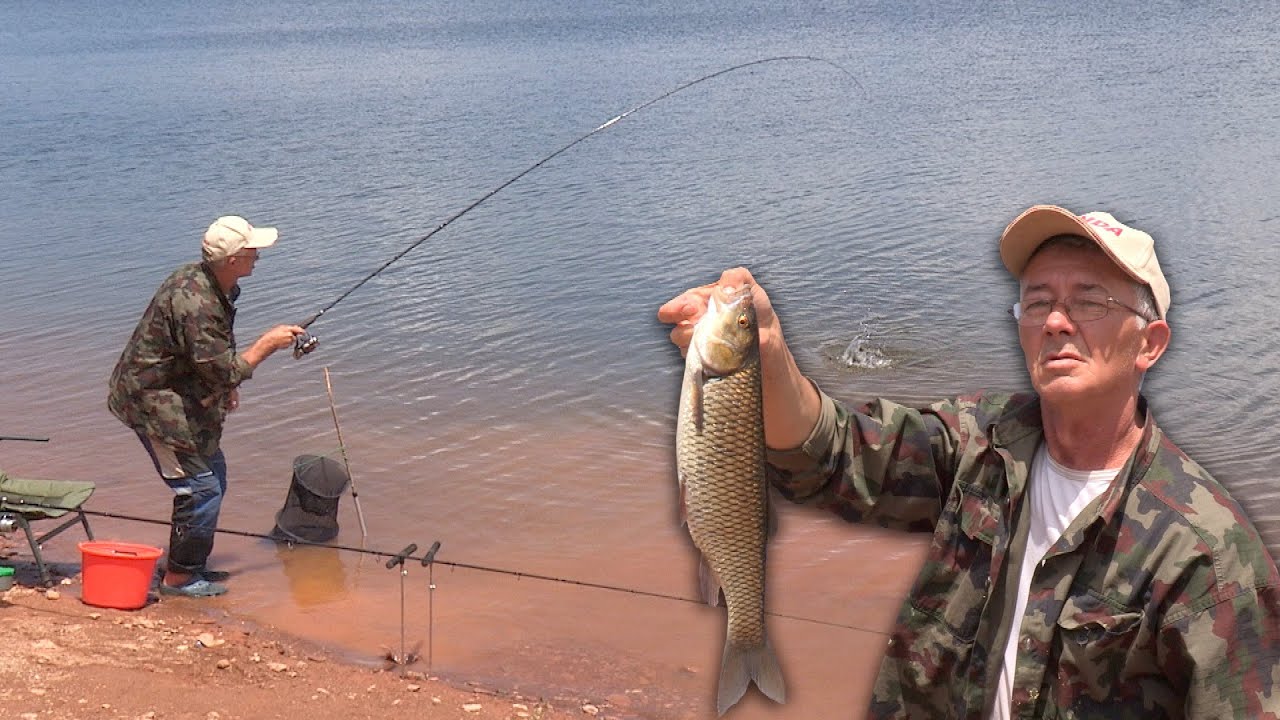 Pecanje fider tehnikom - bela riba - Vlasinsko jezero | Feeder fishing