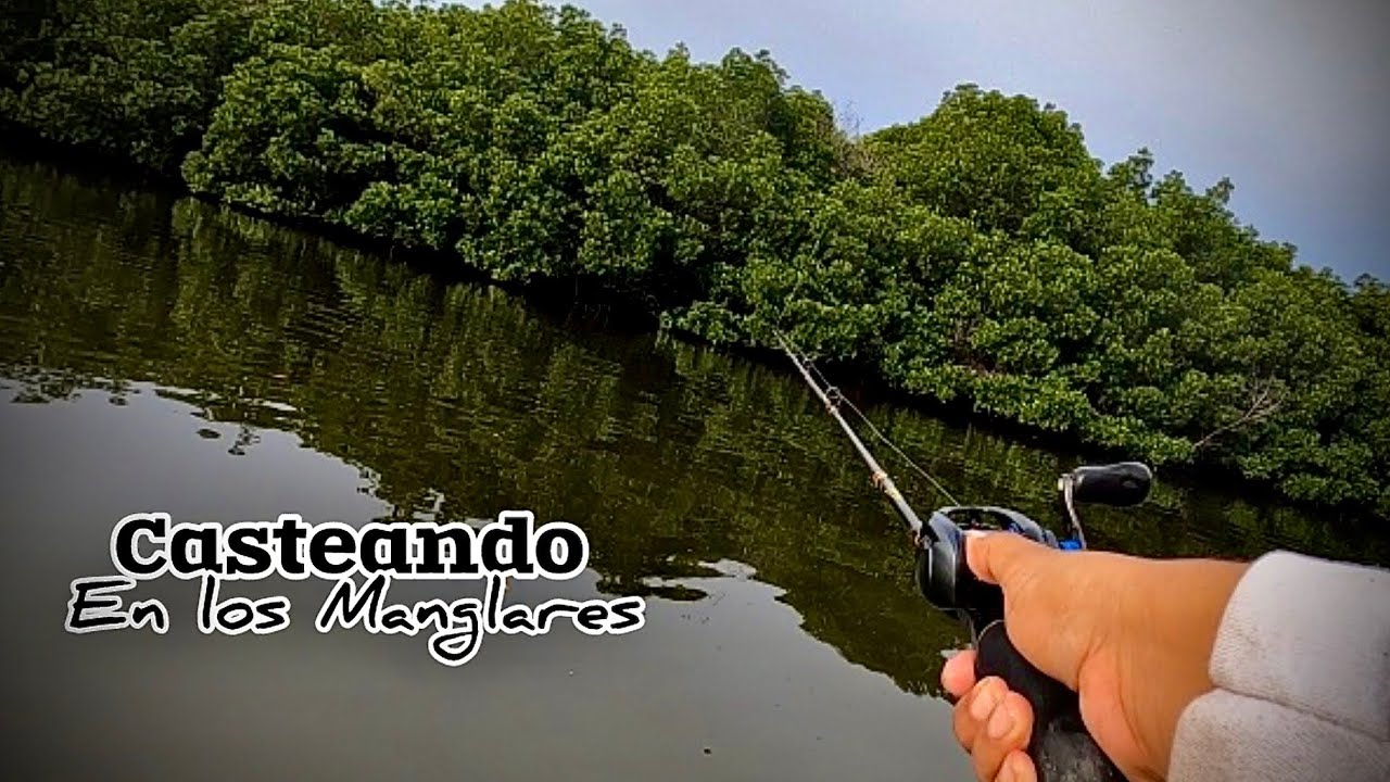 CASTEANDO pargos con señuelos de SUPERFICIE 