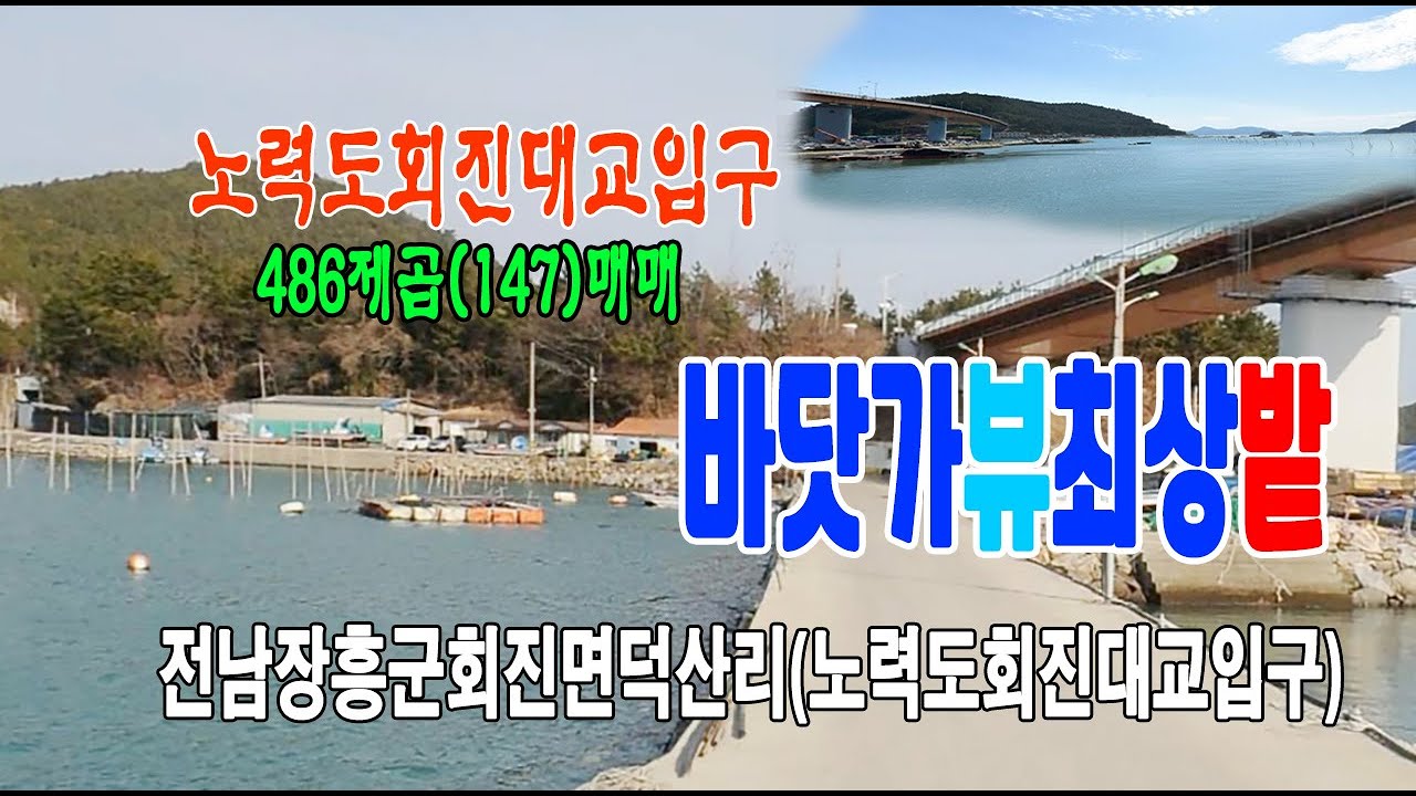 🏕22-167[전남장흥군지역밭][회진면덕산리바닷가토지]🏞덕산리선착장후편,노력도항,회진대교,회진앞바다조망권,보전관리지역,묵혀있는밭,(147py)매매~