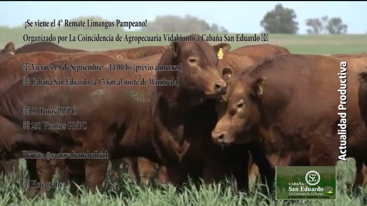 Remate Limangus