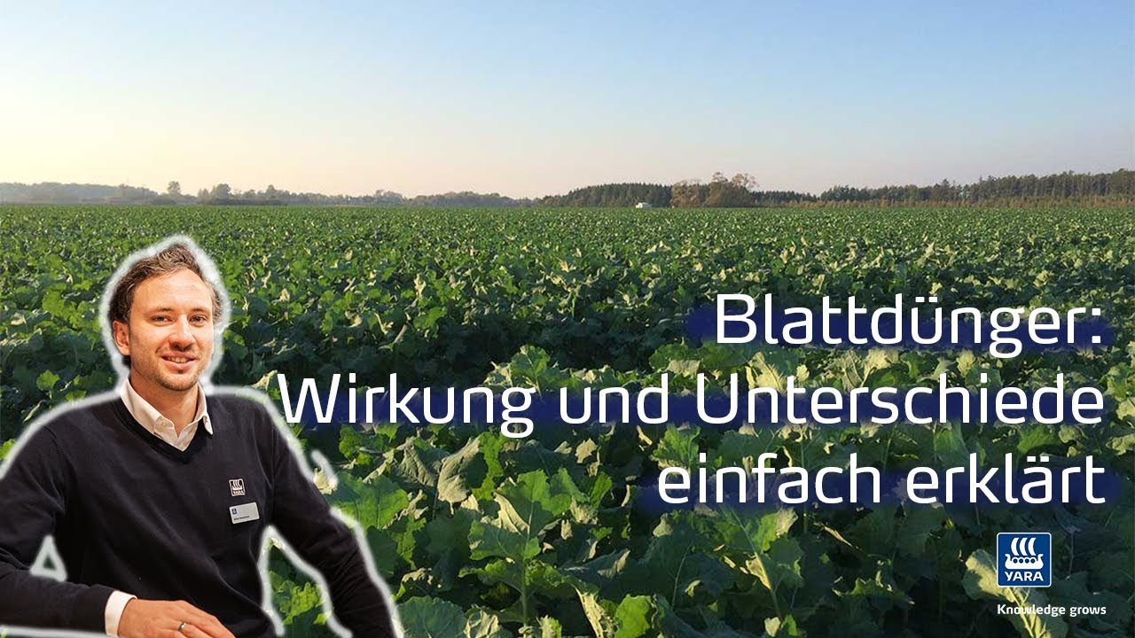 Blattdünger: Wirkung und Unterschiede einfach erklärt