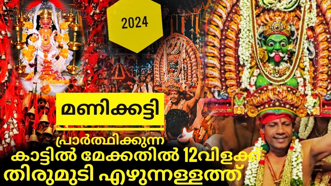 കാട്ടിൽ മേക്കതിൽ 12 വിളക്ക് തിരുമുടി എഴുന്നള്ളത്ത് 2024| kattil mekkathil mudi ezhunnullatthu 2024