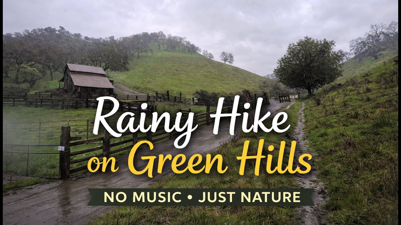 One Hour of Hiking – Pure Nature Sounds | No Talking, No Music | Perfect for Virtual Treadmill Walks