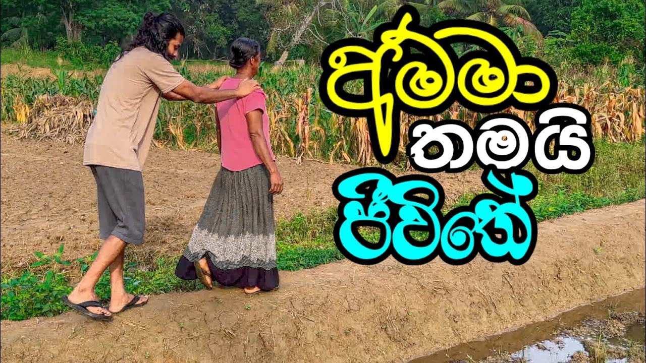 නෝර්වේ දාල ලංකාවට එන්න හිතෙන වාර අනන්තයි/Vacation/Monaragala/Home