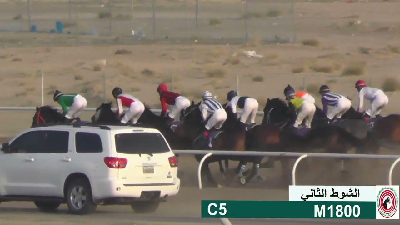 الطويل /  اسطبل السيحان