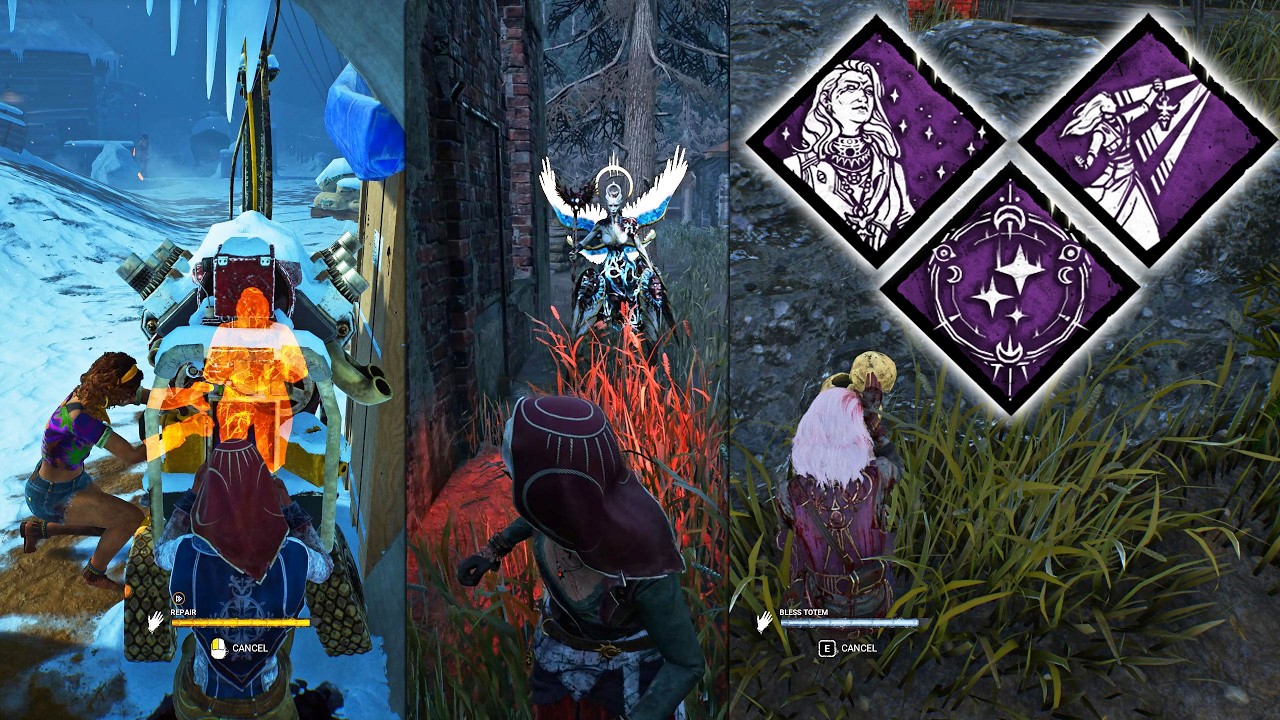 Aurora Stardotter All Perks Showcase!