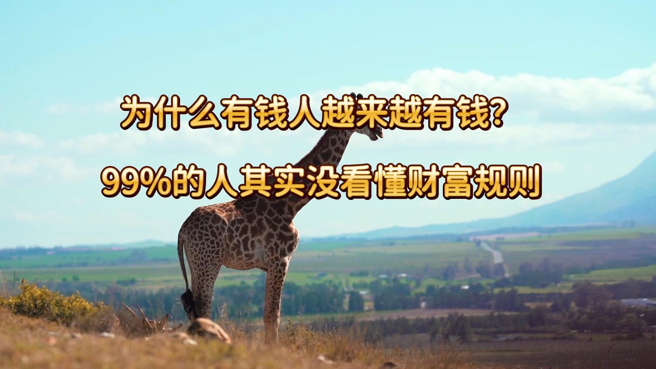 为什么有钱人越来越有钱？99%的人其实没看懂财富规则
