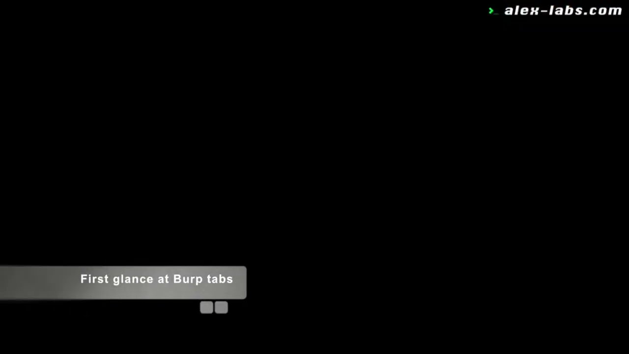 Burp Suite Course - 10 - First glance at Burp tabs