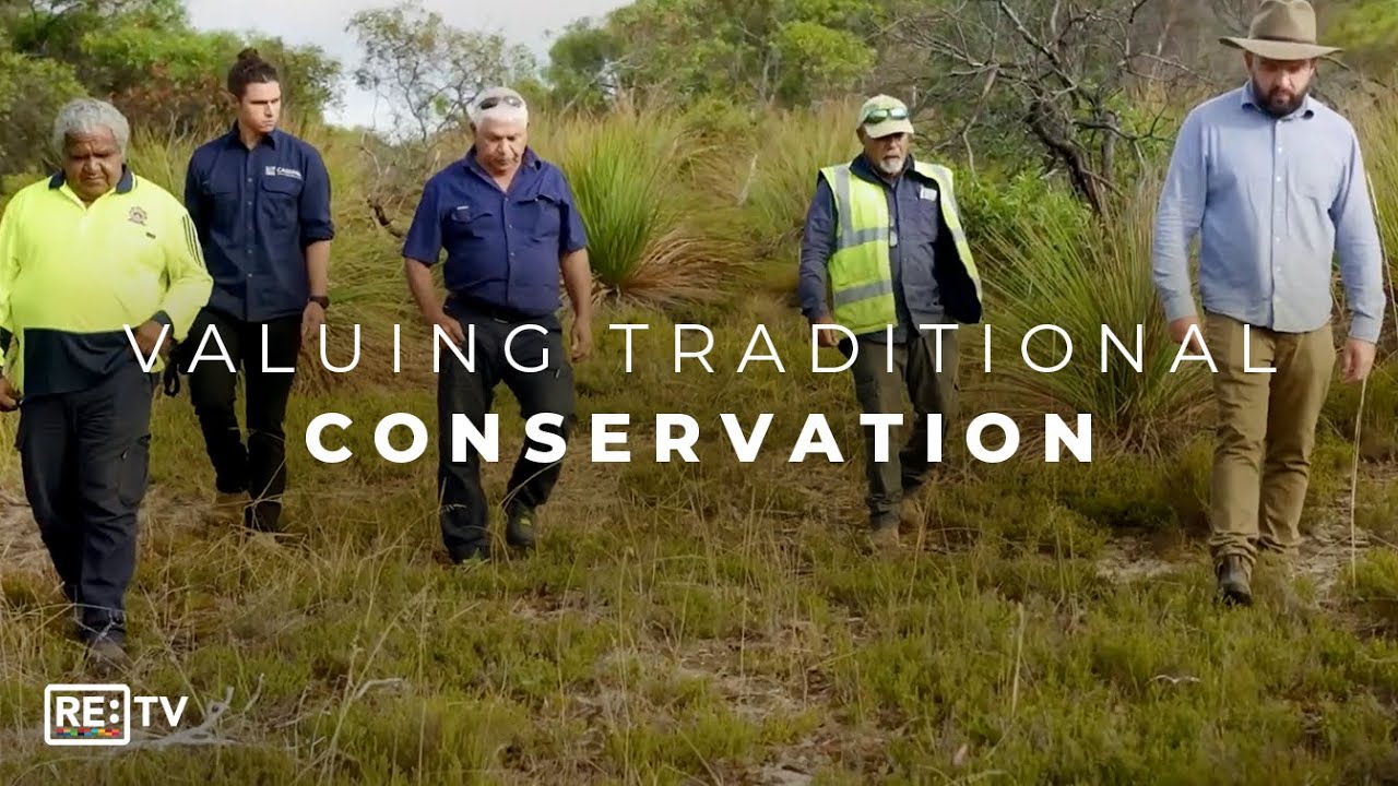 Cassinia: Restoring Indigenous Wetlands In Australia Inspired by Traditional Knowledge