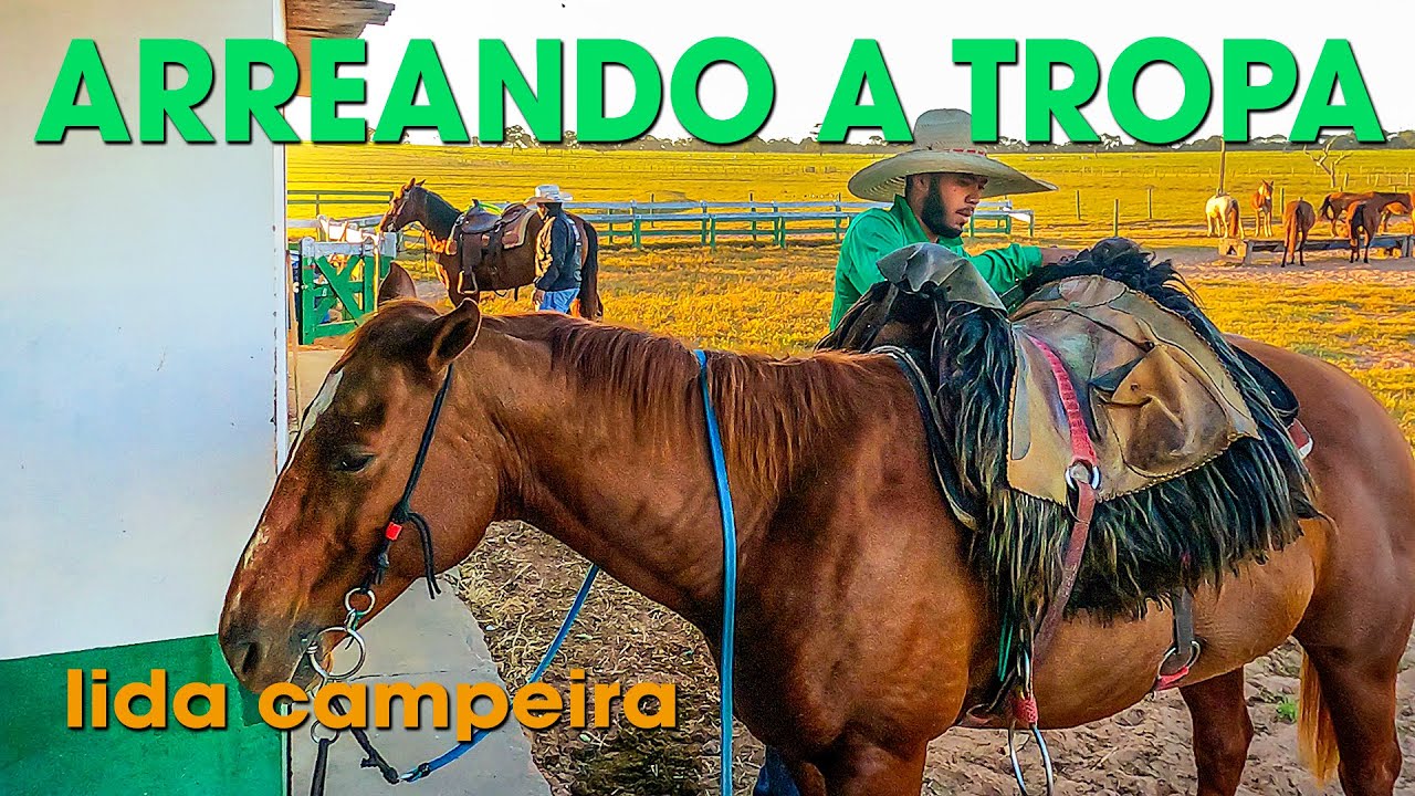 ARREANDO A TROPA DE SERVIÇO - LIDA CAMPEIRA EM PEDRO GOMES MATO GROSSO DO SUL