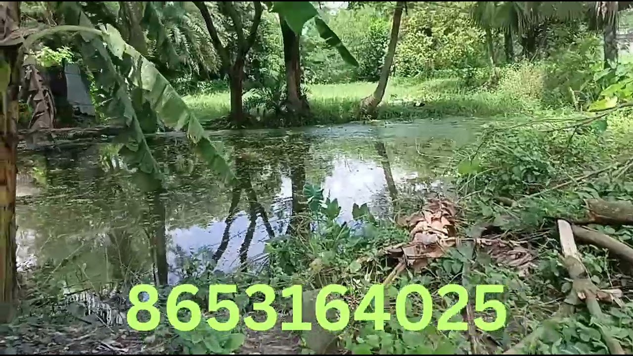 দোকানের উপযুক্ত জায়গা 