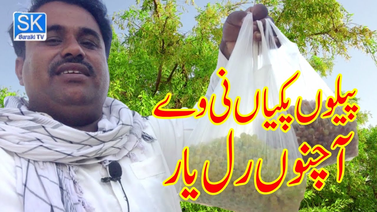 Peelon Pakian Ni | پیلوں پکیاں نی وے | Saraki Tv