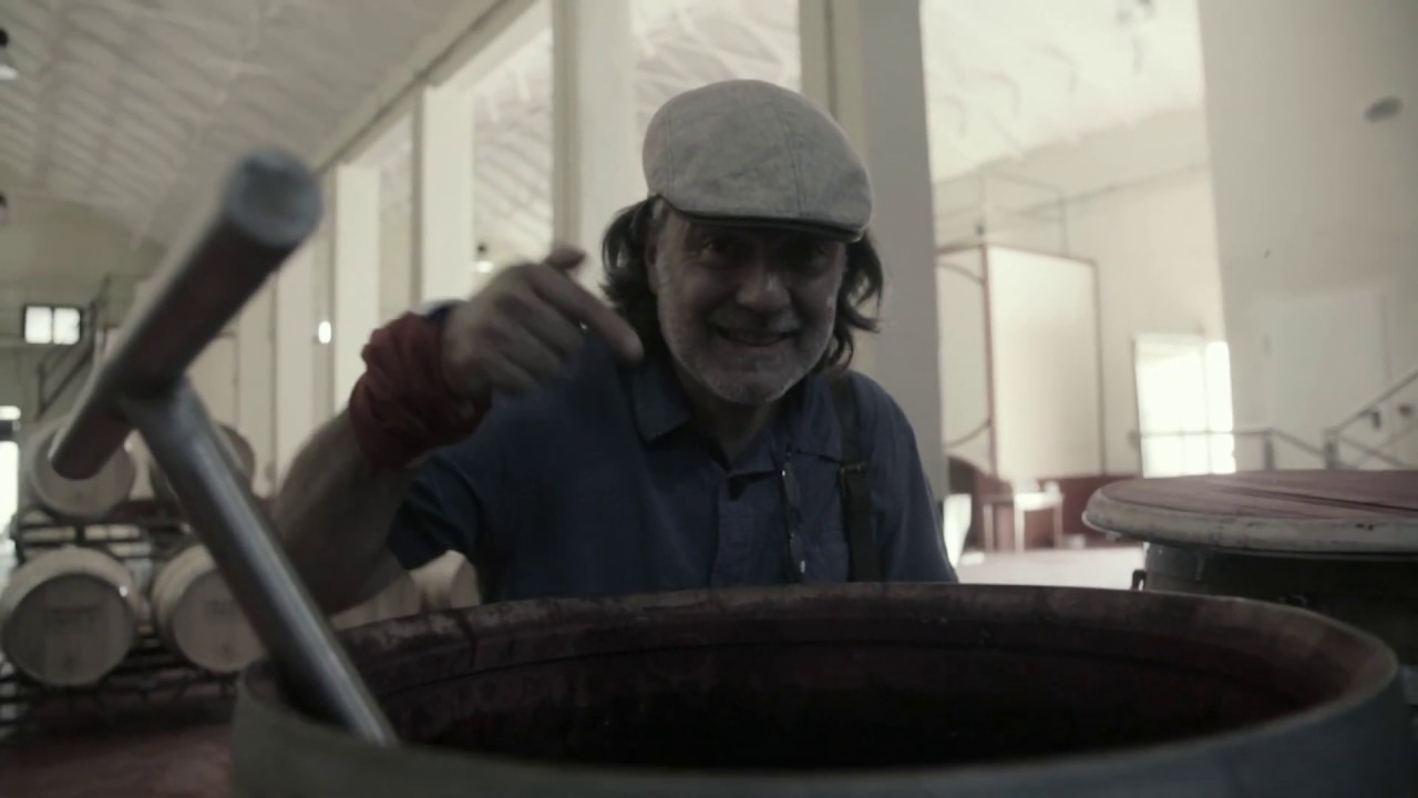 ANAY&Oacute;N PARCELA 81