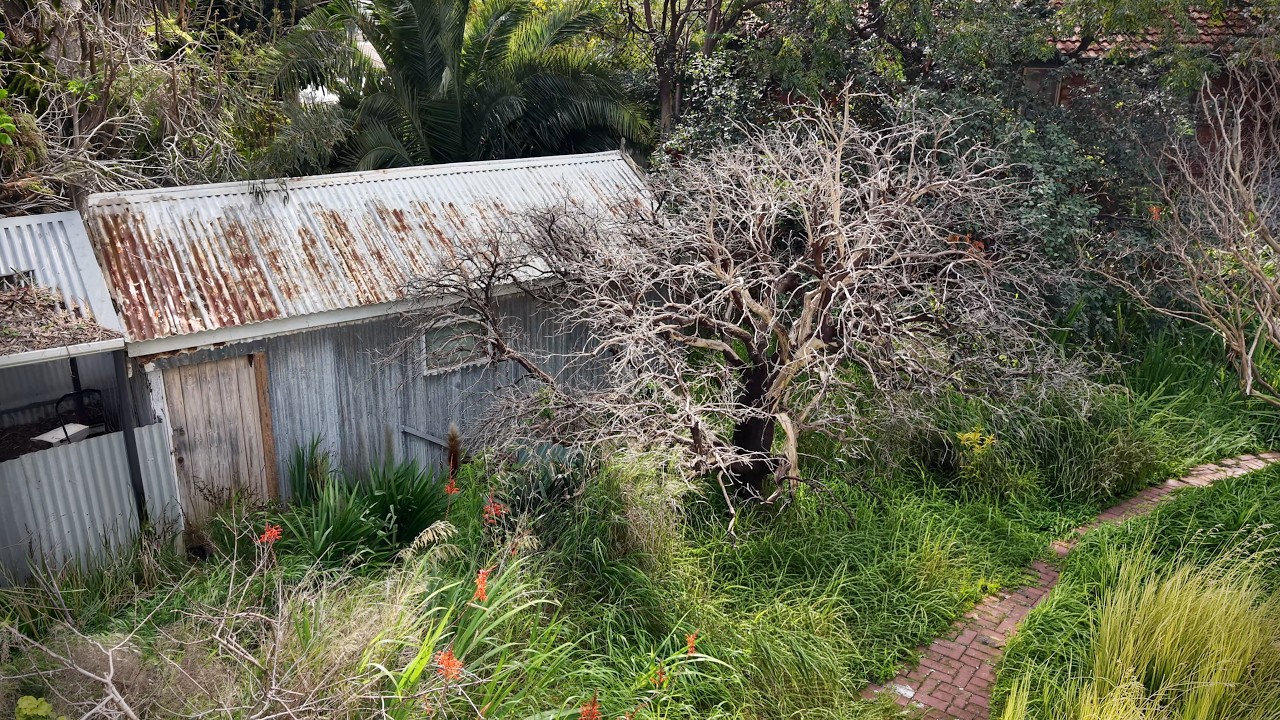 I Spent An ENTIRE MONTH Cleaning The MOST INSANE YARD!