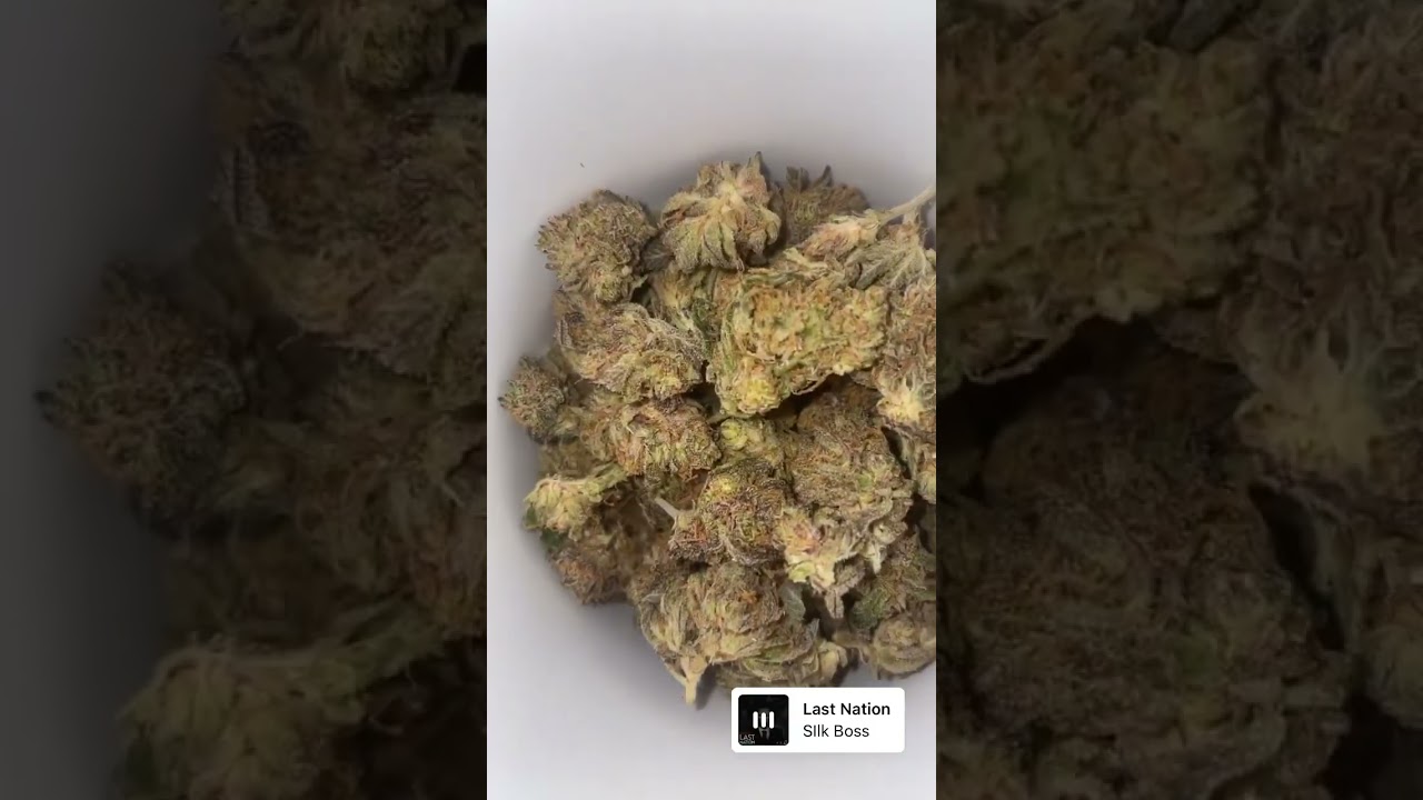 Puerto Rico Za #420 #za￼