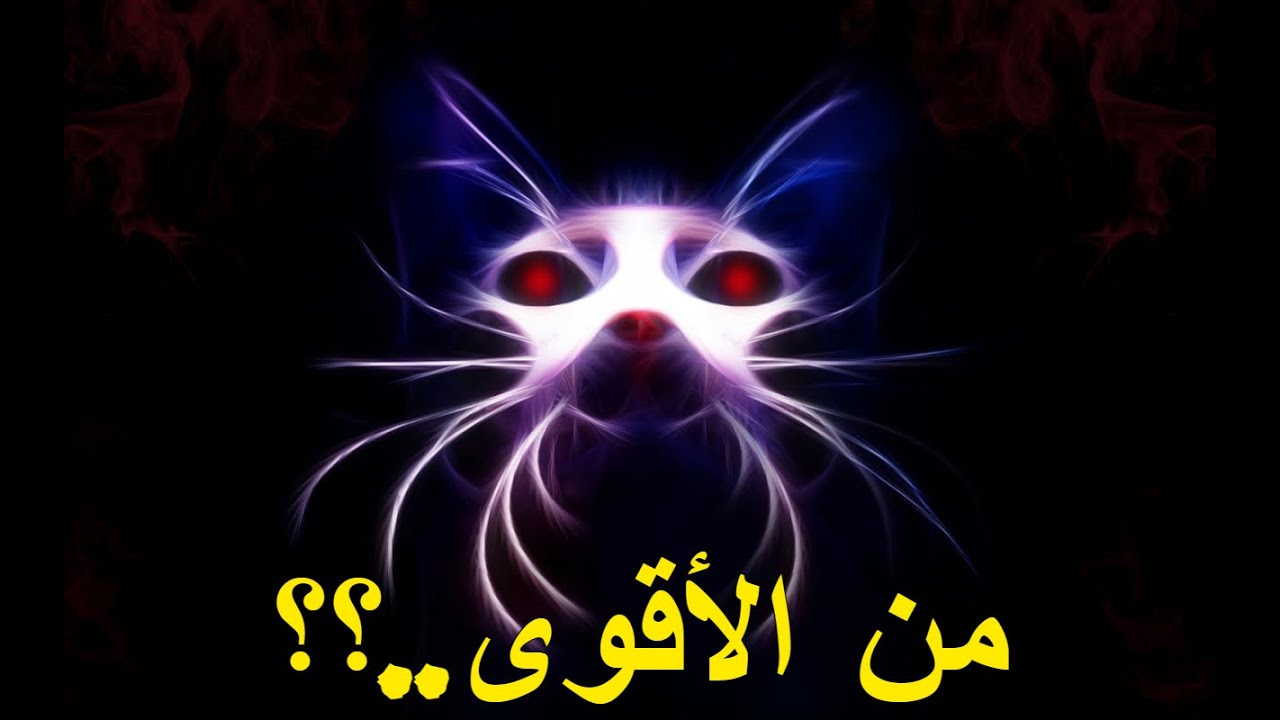 هيونكل ينقذ مام
