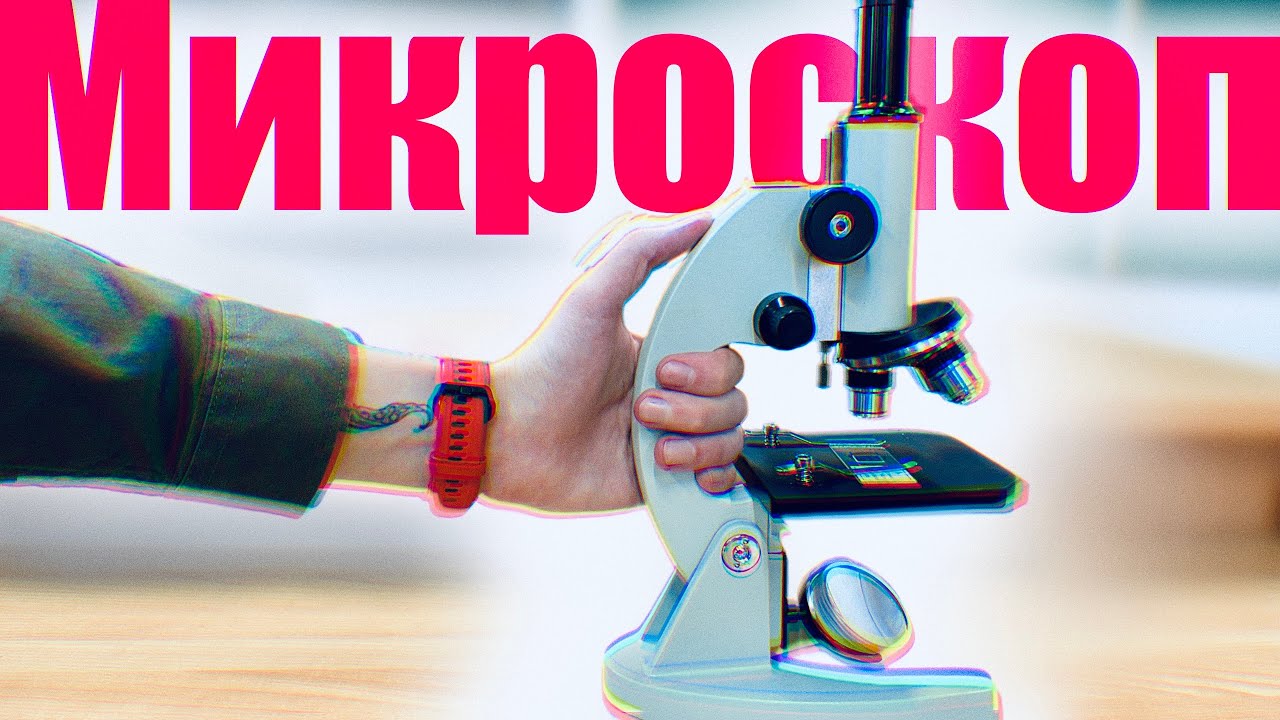 Микроскоп | Строение Микроскопа 🔬 Как пользоваться микроскопом?