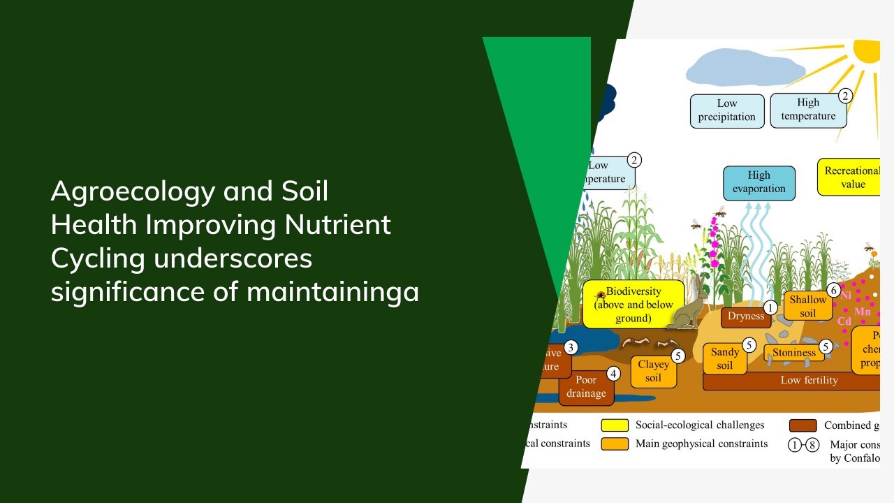 Agroecology and Soil Health Improving Nutrient Cycling underscores significance of maintaining
