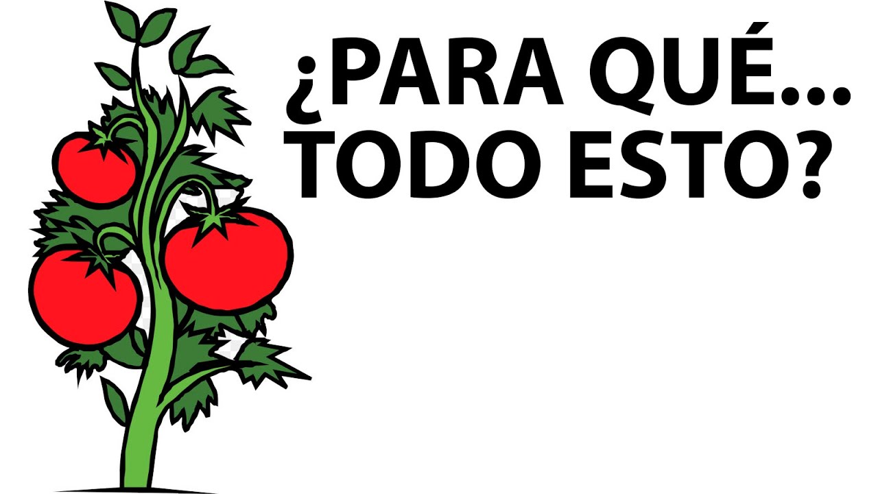 Vivir con sentido
