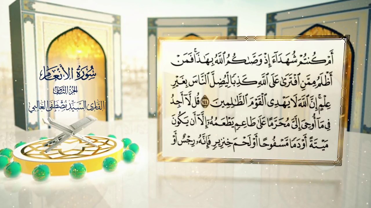 الختمة القرآنية ج ٨ || السيد مصصطفى الغالبي