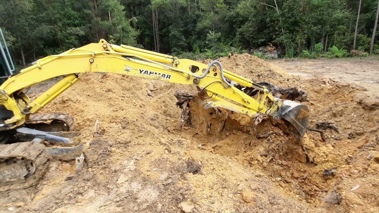 Crack! The Stump is toppled! Yanmar VIO-55B beats root