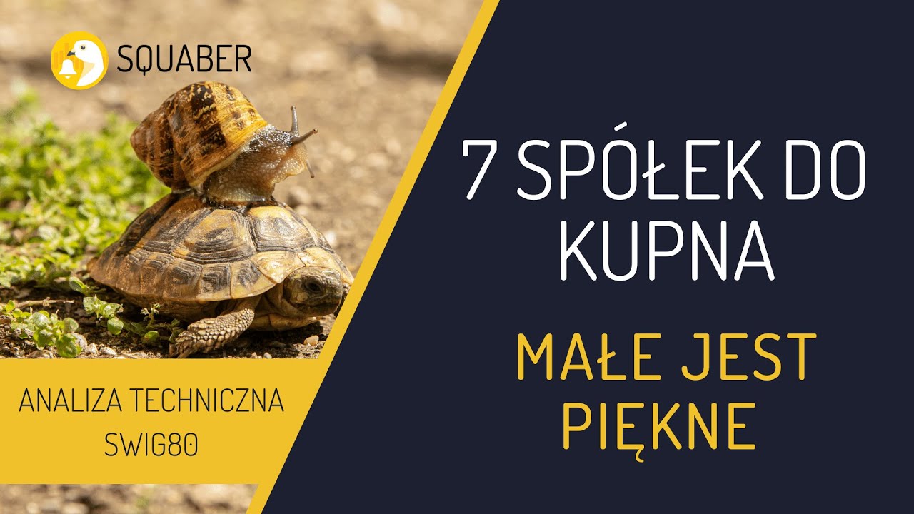 sWIG80 szaleje - 7 wybranych spółek do kupna po korekcie