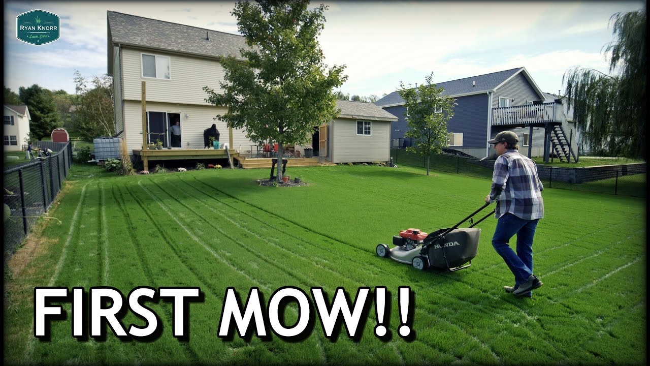 When To MOW, WATER, FERTILIZE New Lawns // FIRST MOW on Tall Fescue