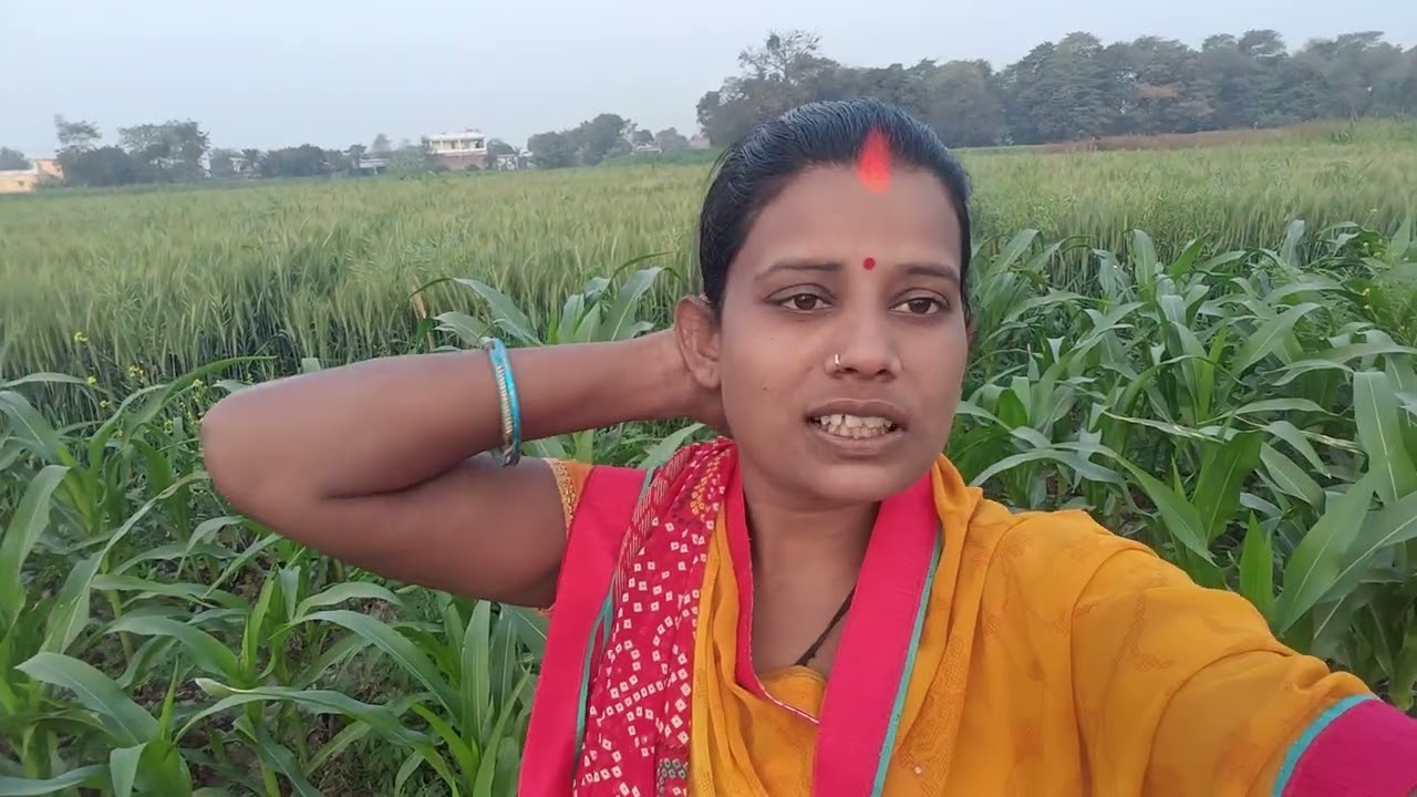 Block video khet per a chuke hain 😡😡😘😘🙏🙏🙏🙏##jiyetohjiyekaise2 #dance #sorts #khesaripawan #log 