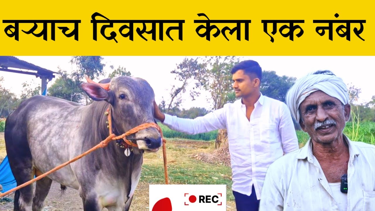 राजाने केला एक नंबर दादा ची मुलाखत