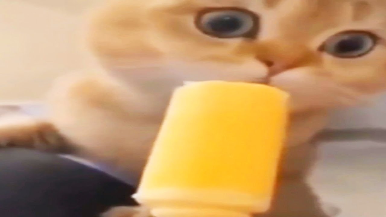 simplesmente 30 minutos de memes '-'