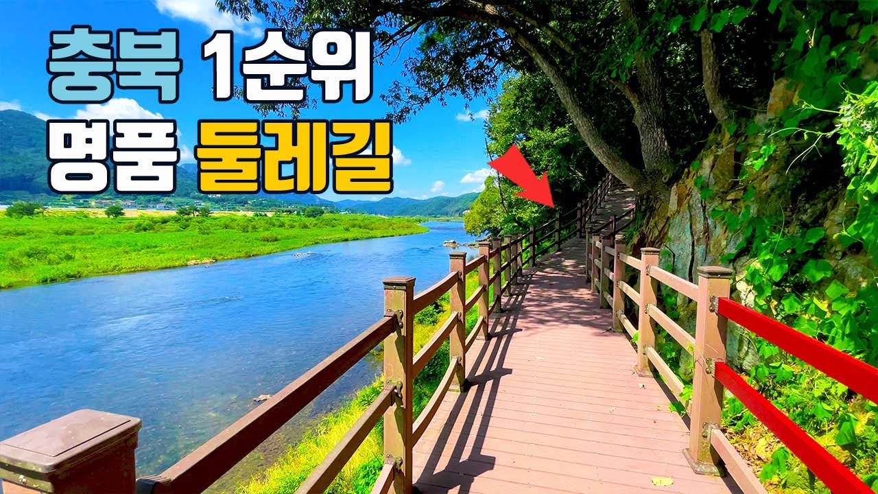 100년 소나무가 1만 그루, 보석같은 트레킹 명소🏝️ 부모님도 반한 6Km 둘레길🚶 당일치기로 완벽🚕